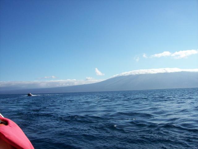 100_0655