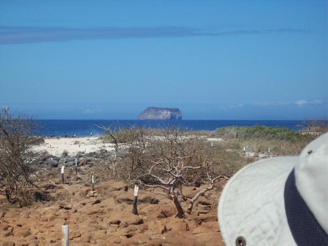 100_0883