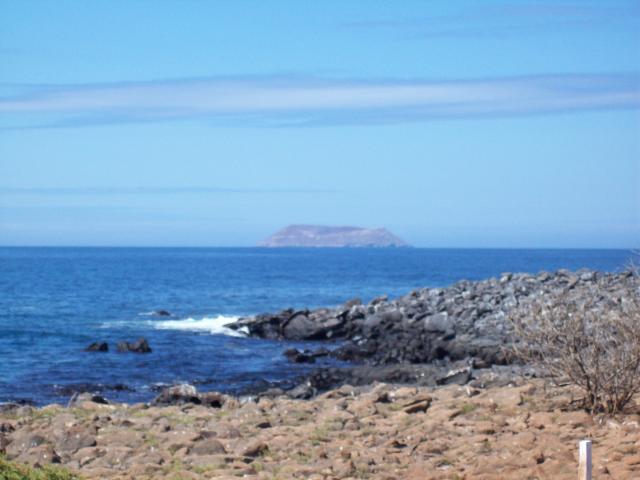 100_0886