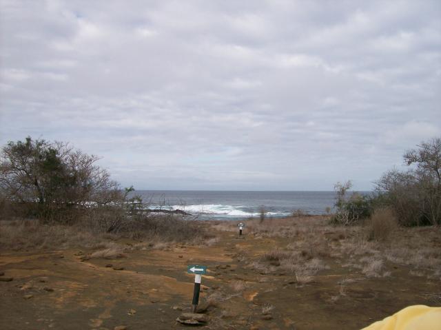 2 Brushy Beach - 100_0612 - 12.26.06 09.43