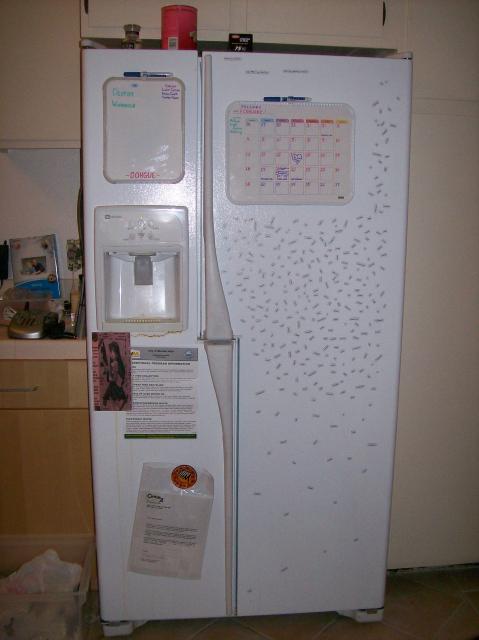 2 Fridge - 101_0635