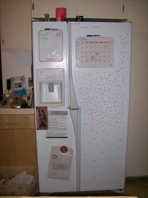 2 Fridge - 101_0637