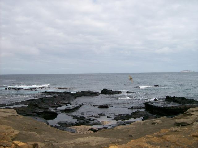 2 Rocks And Sea - 100_0614 - 12.26.06 09.49