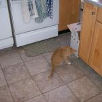 2 Simon Kitchen - 101_0477