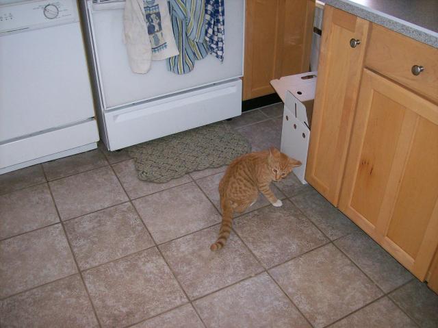2 Simon Kitchen - 101_0477