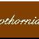 hawthornbutton