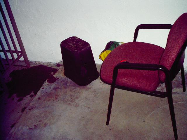 4 Back Yard Chair - 109