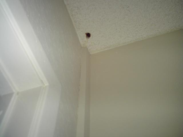 4 Closet Ceiling - 081