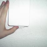 5 Sheer's Hand Showing White Box - 101