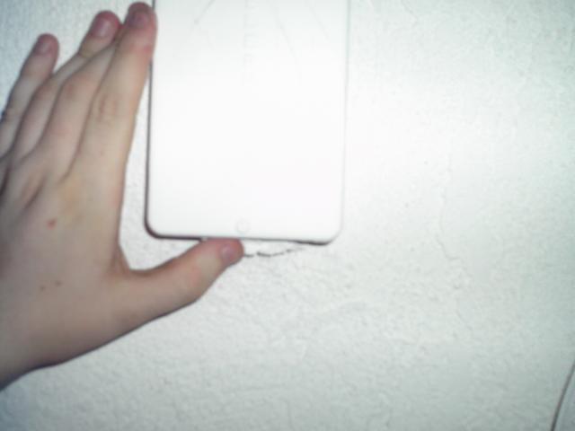 5 Sheer's Hand Showing White Box - 101