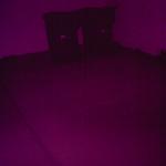 5 Trash Cans - grainy - 088