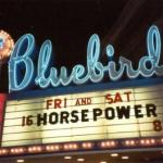 bluebird220995pic