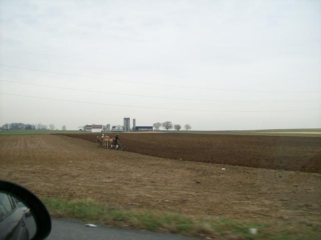 2 Man Horses Plowing - Crop (no pun) - 101_0333 - 12.21.06 11.32