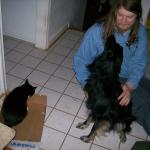 3 Sheer Bodie Cat - Crop - 101_0416 - 12.21.06 16.05
