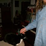 4 Sheer Cat - Crop - 101_0408 - 12.21.06 16.01