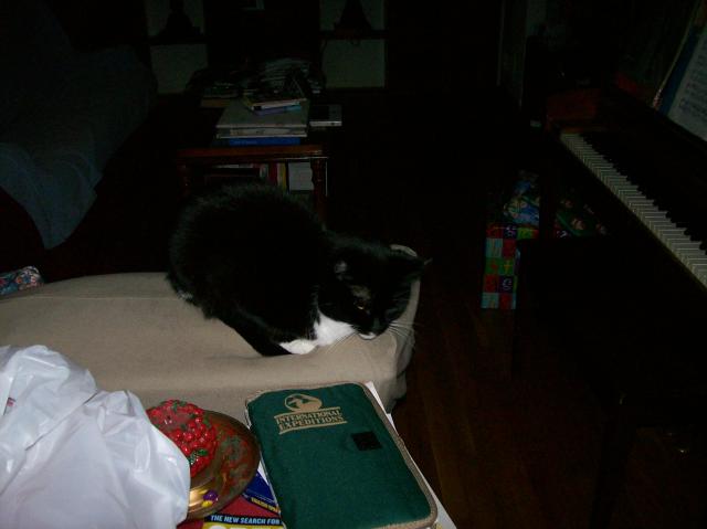 5 Cat - 101_0407 - 12.21.06 16.01