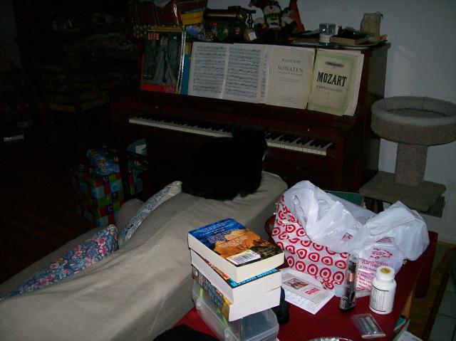 5 Cat - 101_0410 - 12.21.06 16.03