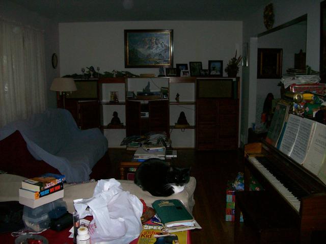 5 Cat - Crop - 101_0404 - 12.21.06 16.00