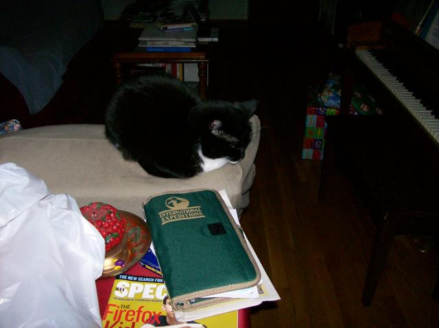 5 Cat - Crop - 101_0406 - 12.21.06 16.01