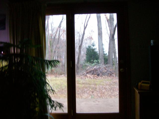6 Glass Door - 101_0450 - 12.21.06 16.37