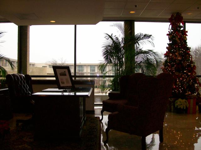 4 Hotel Lobby Tree - 100_0468 - 12.22.06 10.49