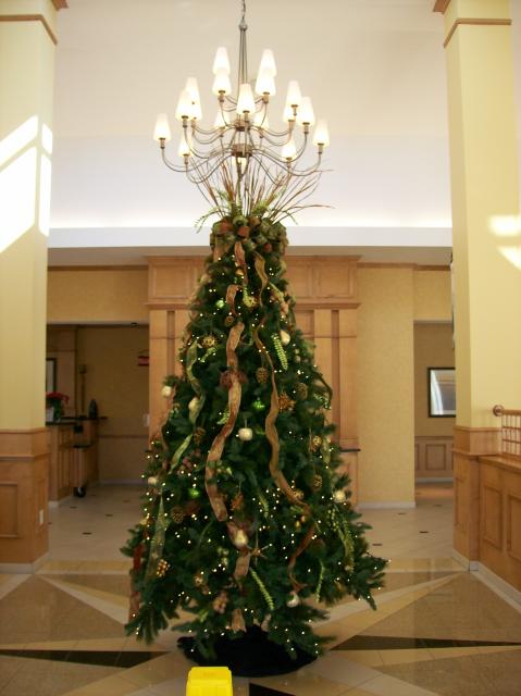 4 Hotel Tree - 100_0540 - 12.23.06 00.11
