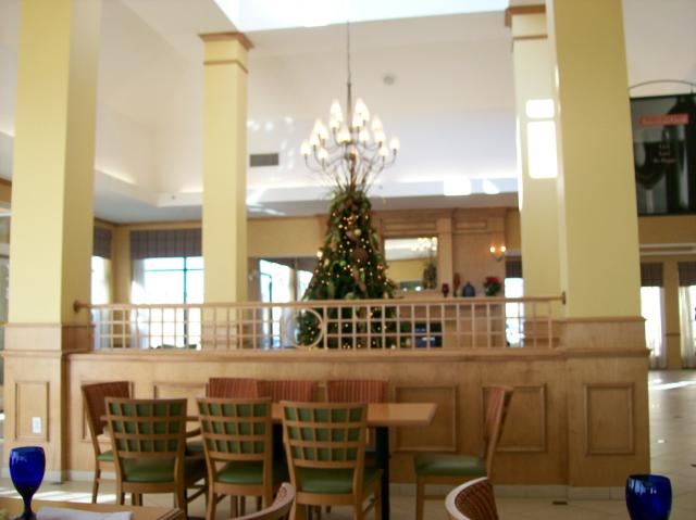 6 Hotel Tree - 100_0534 - 12.23.06 00.08