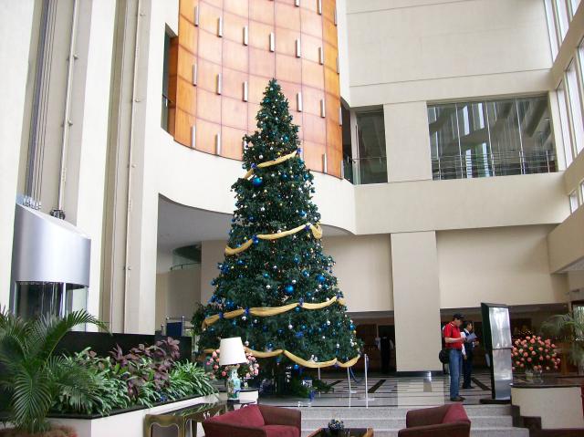 3 Hotel Tree And Elevators - 100_0565 - 12.24.06 11.29