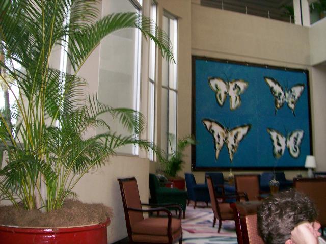 5 Butterflies - 100_0569 - 12.24.06 11.45