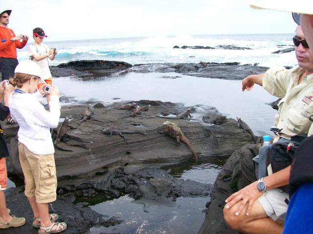3 Iguanas Crabs - 100_0621 - 12.26.06 09.52