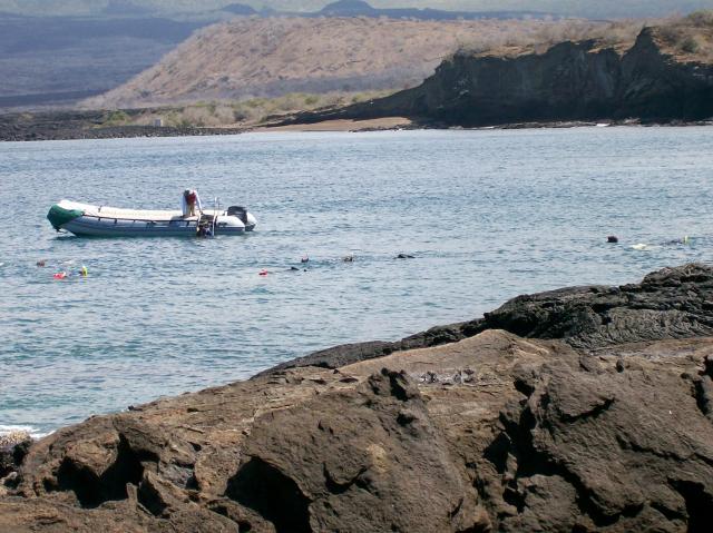 3 Snorkelers, Boat - 100_0681 - 12.26.06 12.04