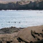 3 Snorkelers, Rocks - 100_0667 - 12.26.06 11.57