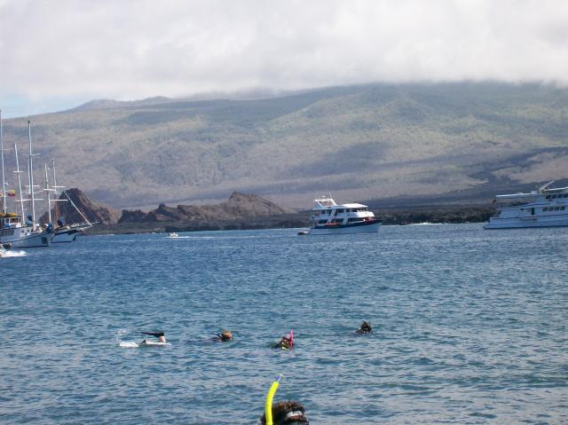 3 Snorkelers, Ships - 100_0654 - 12.26.06 11.46