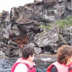 4 Cliffs, Water - 100_0762 - 12.26.06 18.21