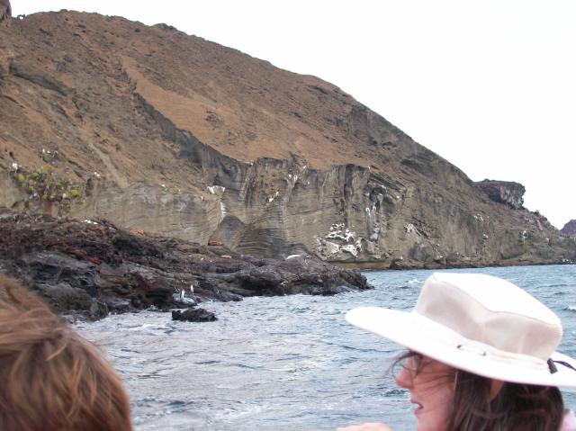 4 Distant Penguins - 100_0818 - 12.26.06 18.37
