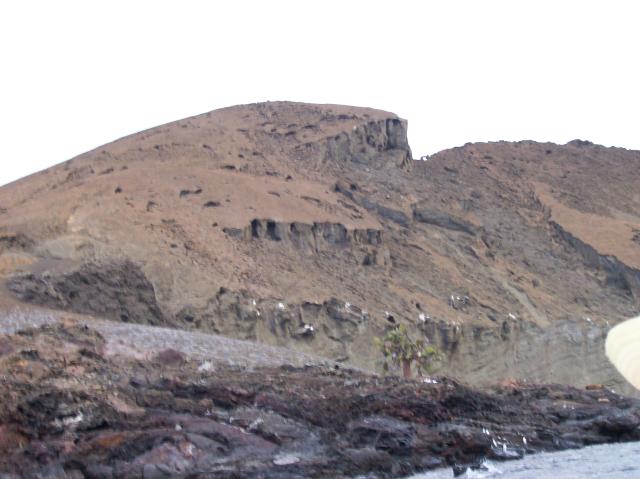 4 Distant Penguins - 100_0819 - 12.26.06 18.37