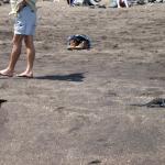 4 Iguana - 100_0705 - 12.26.06 12.17