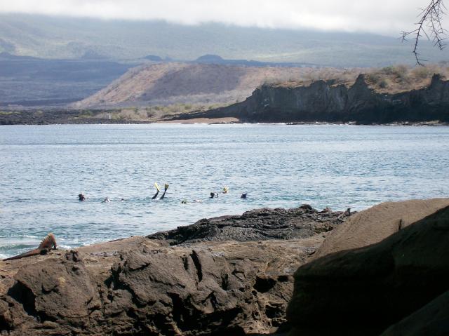 4 Iguana, Snorkelers - 100_0663 - 12.26.06 11.55