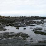4 Layered Rocks, Water - 100_0622 - 12.26.06 09.53
