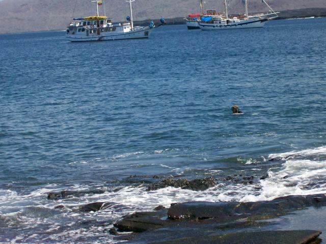 4 Sheer Snorkeling - Crop(rotate) - 100_0687 - 12.26.06 12.06