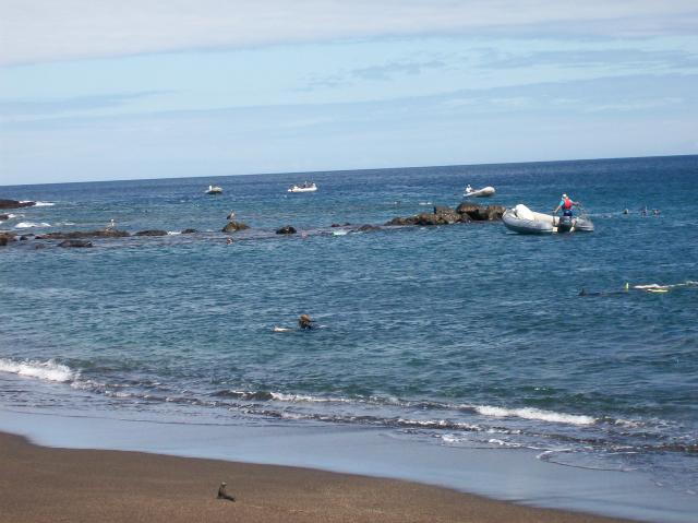 4 Snorkelers, Boats - Crop(rotate) - 100_0690 - 12.26.06 12.08