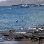 4 Snorkelers, Ships - 100_0659 - 12.26.06 11.52