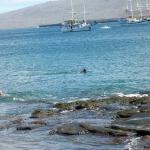 4 Snorkelers, Ships - Crop(rotate) - 100_0661 - 12.26.06 11.54