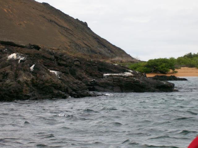 5 Penguins - 100_0727 - 12.26.06 18.06