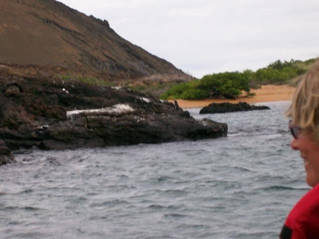 5 Penguins - 100_0728 - 12.26.06 18.06