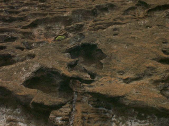 5 Rock - 100_0753 - 12.26.06 18.16