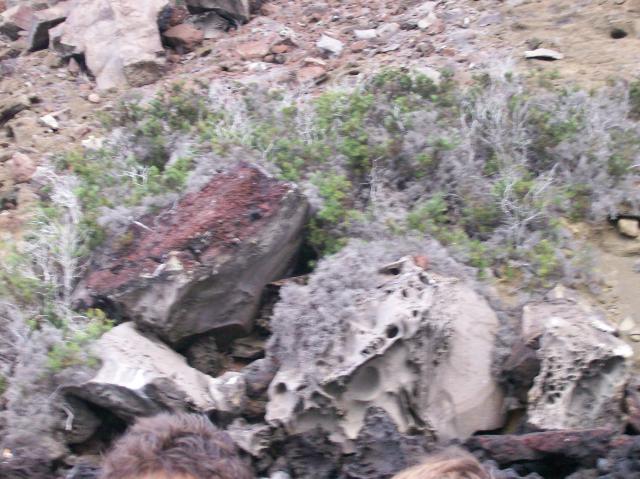 5 Rocks - 100_0841 - 12.26.06 18.44