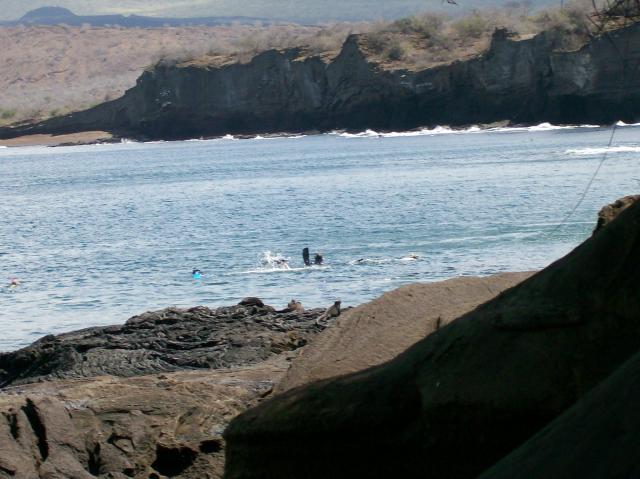 5 Snorkelers - 100_0665 - 12.26.06 11.56