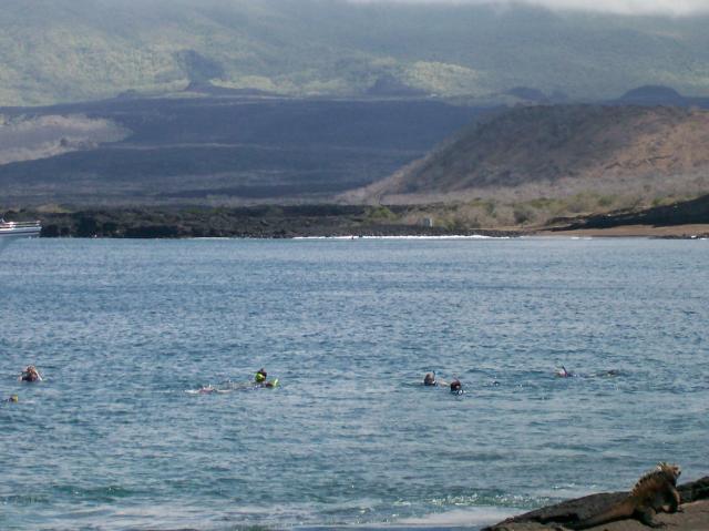 5 Snorkelers - 100_0672 - 12.26.06 12.00