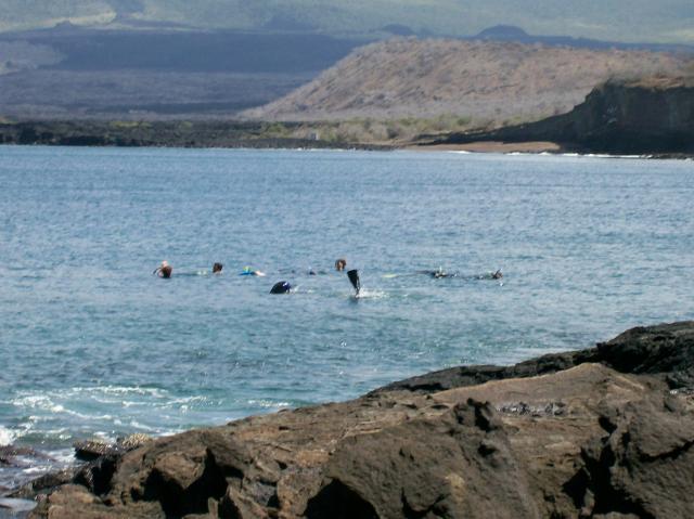 5 Snorkelers - 100_0674 - 12.26.06 12.02